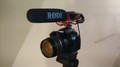 Rode VideoMic Rycote (Afbeelding 1 van 1)