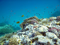 Panasonic Lumix DMC-FT30 Red (Image 1 of 5)
