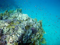 Panasonic Lumix DMC-FT30 Red (Image 5 of 5)
