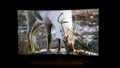 Samsung UE49KU6100 (Afbeelding 1 van 2)