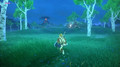 The Legend of Zelda: Breath of the Wild Switch Limited Edition (Afbeelding 4 van 5)