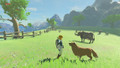 The Legend of Zelda: Breath of the Wild Switch Limited Edition (Afbeelding 1 van 6)