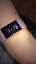 Fitbit Charge 2 Lavender&#x2F;Rose Gold - L - Special Edition (Afbeelding 1 van 1)