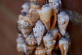 Sony SAL 35mm f/1.8 DT SAM (Image 1 of 3)
