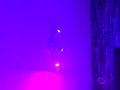 Philips HUE GU10 Starter Pack met Dimmer (Afbeelding 2 van 2)