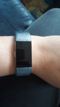 Fitbit Charge 2 Teal/Silver - S (Afbeelding 1 van 3)