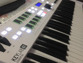 Arturia Keylab Essential 49 White (Image 1 of 1)
