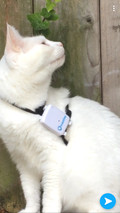 Tractive GPS Pet Locator (Afbeelding 1 van 3)