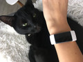 Fitbit Charge 3 Special Edition Graphite&#x2F;White (Image 4 sur 4)