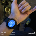 Garmin Forerunner 735XT Frost Blue (Image 1 of 5)