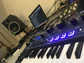 Novation Mininova (Afbeelding 1 van 3)