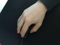 BenQ Zowie EC2-A (Medium) (Image 1 of 3)