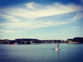 Huawei P Smart Z Black (Image 1 of 1)