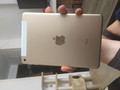 Apple iPad Mini 4 128 GB Wifi + 4G Goud (Afbeelding 1 van 1)