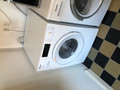 Miele WSD 323 WCS PowerWash 2.0 (Afbeelding 3 van 4)