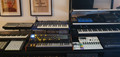 Moog Subsequent 37 (Afbeelding 1 van 1)