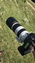 Canon EF 100-400mm f/4.5-5.6L IS II USM (Afbeelding 1 van 3)