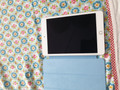 Apple iPad Mini 5 64 GB Wifi Goud + Otterbox Defender Full Body Case (Afbeelding 2 van 5)
