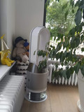 Dyson Pure Humidify + Cool - PH01 (Afbeelding 4 van 5)