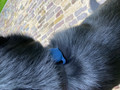 Apple AirTag 4-pack (Image 1 of 5)
