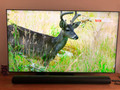 Samsung Neo QLED 8K 85QN800A + Soundbar (Afbeelding 2 van 2)