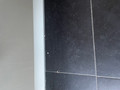 iRobot Roomba i7 (Image 3 of 10)