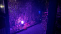 Philips Hue Calla White and Color Starter Pack Outdoor Pedestal Lamp (Image 2 of 13)