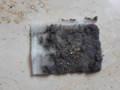 Veripart Vacuum Cleaner Bags for Miele Complete (40 units) (Image 1 of 1)