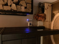 Ring Chime Pro (Afbeelding 1 van 4)