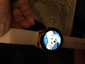 Samsung Galaxy Watch Active Zwart (Afbeelding 1 van 43)