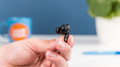 JBL Tour Pro 2 Schwarz (Bild 1 von 3)
