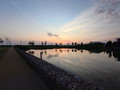 Sony Xperia 1 V 256GB Black 5G (Image 4 of 5)
