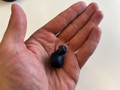 Jabra Elite 8 Active Black (Image 2 of 3)