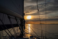 Sony FE 24-50mm f&#x2F;2.8 G (Afbeelding 2 van 2)