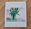Polaroid Color Instant Photo Paper i-Type Film (16 sheets) (Image 3 of 3)