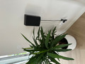 SoundXtra HW-Q930&#x2F;Q990 Muurbeugel (per paar) (Afbeelding 2 van 3)