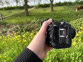 Nikon Z5 II + NIKKOR Z 24-70mm f&#x2F;4 S (Afbeelding 5 van 5)