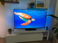 Philips Ambilight 65 Zoll MLED950 4K (2025) (Bild 5 von 5)