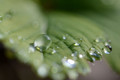 Nikon AF-S 85mm f&#x2F;3.5G ED VR DX Micro (Afbeelding 1 van 1)
