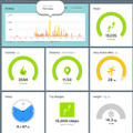 Fitbit Flex Black (Afbeelding 5 van 5)