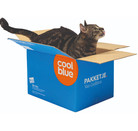 Recruiter Emily Terpstra