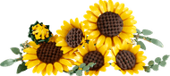 LEGO Botanicals Boeket met Zonnebloemen 11502