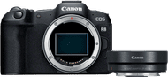Canon EOS R8 + EF-EOS R Adapter