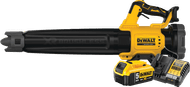 DeWalt 18V XR Axiale 5,0 Ah Accu Starterspakket