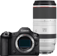 Canon EOS R5 Mark II + Canon RF 100-500mm f/4.5-7.1L IS USM