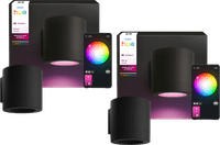 Philips Hue Muscari Outdoor Wall Spot Duo Pack