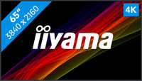 iiyama ProLite LH6541UHS-B1AG