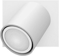 Philips Hue Runner opbouwspot White Ambiance - 1 Spots - Wit
