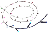 WiZ Slimme Lichtslinger - 20 meter - 160 LED