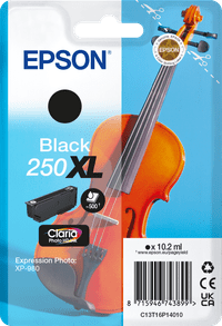 Epson Singlepack Black 250XL inkt